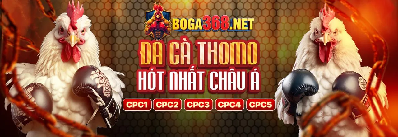 ff168 Đá Gà Trực Tuyến Hấp Dẫn 2026